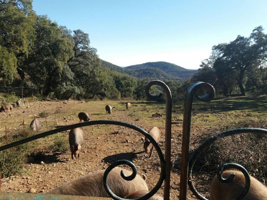Casa Rural Alicia Cortegana Exterior foto
